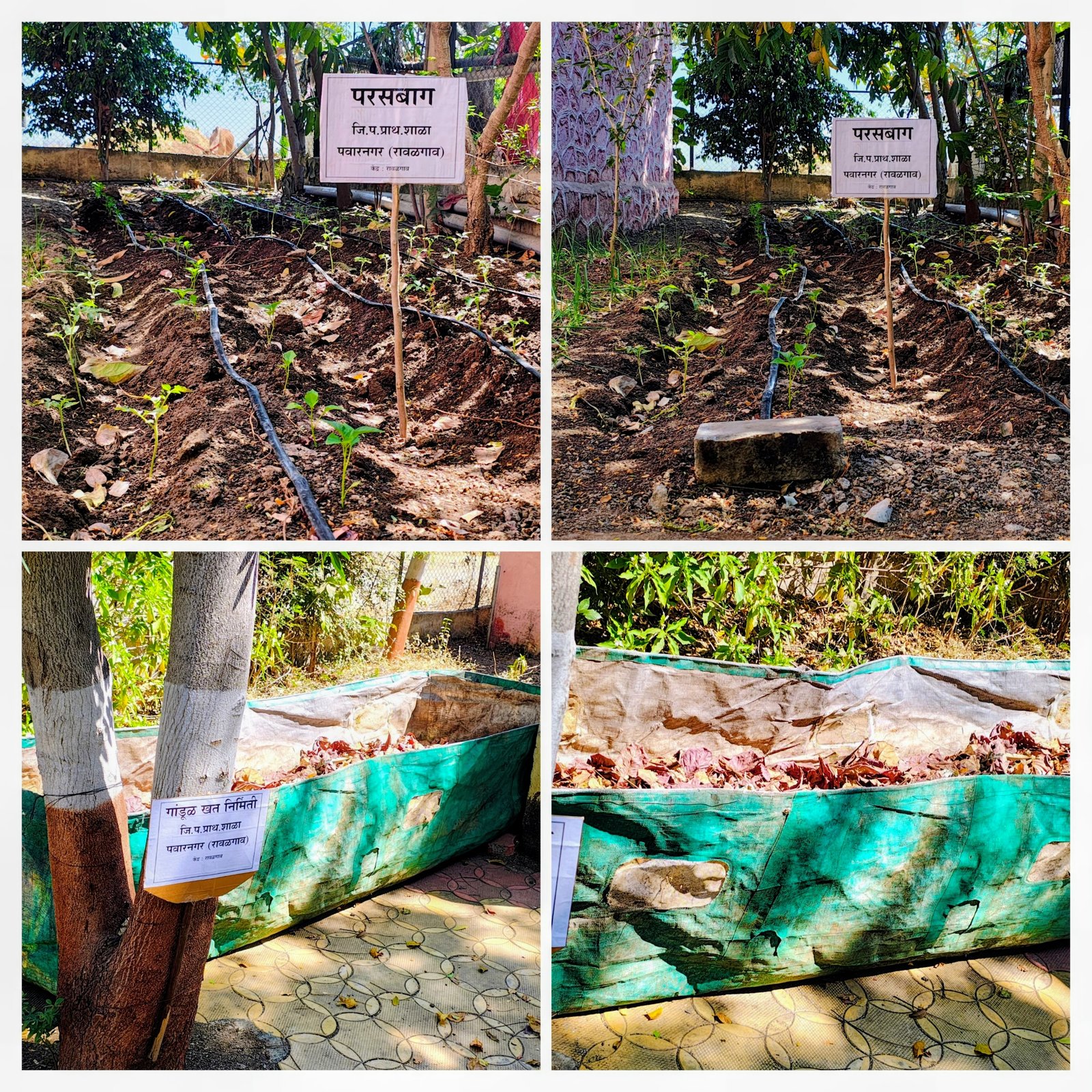 मुख्यमंत्री समृद्ध पंचायतराज अभियान अंतर्गत पवार नगर रावळगाव जिल्हा परिषद शाळा येथे परसबाग व गांडूळ खत प्रकल्प